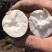 哈蜜冰糖心蜜薯，白雪公主基地种植大量供应，支持电商，超市