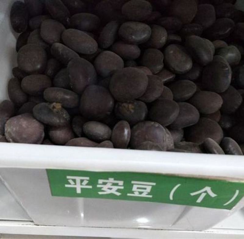 平安豆种子龙豆种子罗汉豆种子九龙藤种子中药材种子