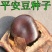 平安豆种子龙豆种子罗汉豆种子九龙藤种子中药材种子