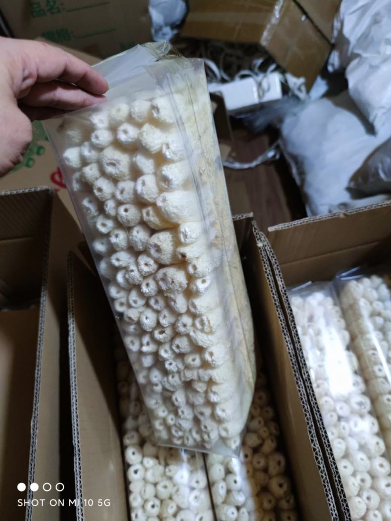 长裙竹荪精选干货专业定制各种大小包装新货无硫薰产地直销