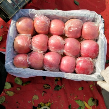 万荣纸加膜正在大量上市中
