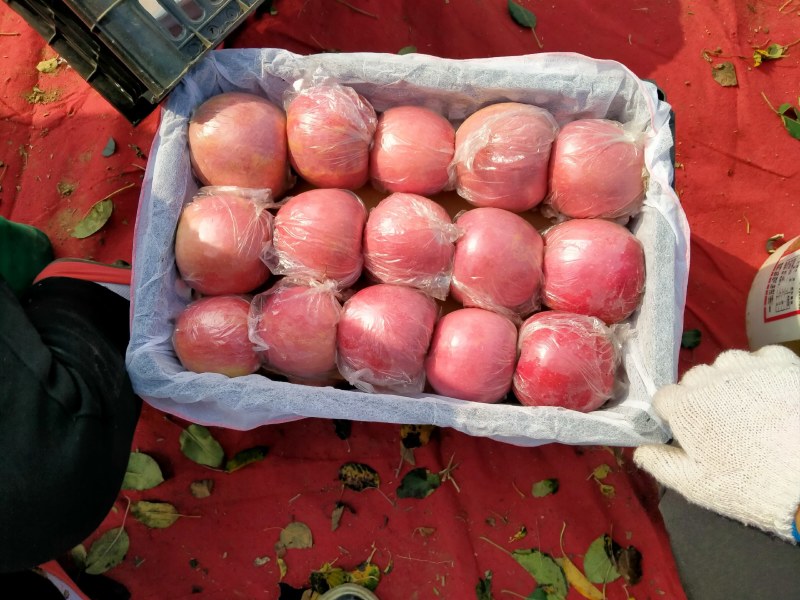 万荣纸加膜正在大量上市中