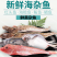 【国产检疫齐全】新鲜速冻海鱼小杂鱼10斤装4-6种海鱼