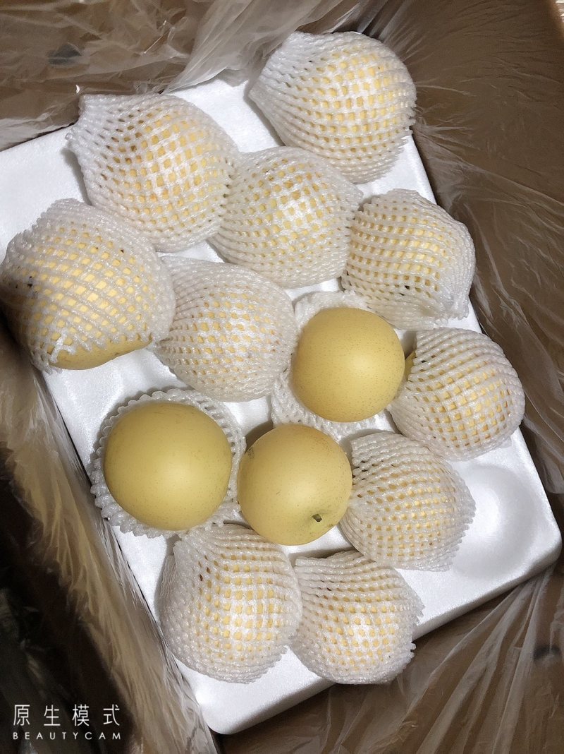 皇冠梨，个大梨白，口感嘎嘎甜！急需销售商