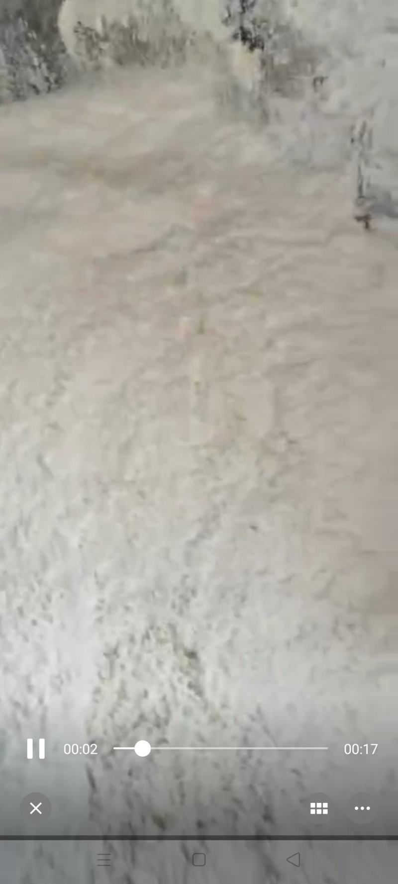 豆腐渣