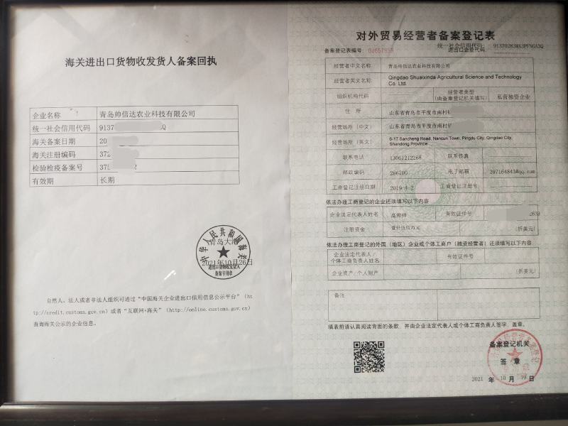 奥奇娜包菜产地直销货源充足2-5斤市场货.5-8斤工厂货