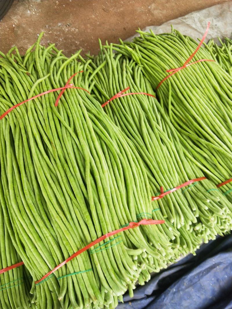 豆角