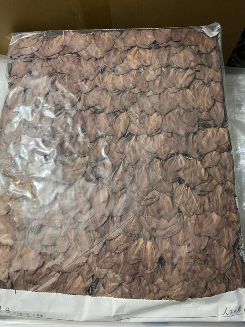 仿野生林下种植金线莲干货，大量现货，量大价优！