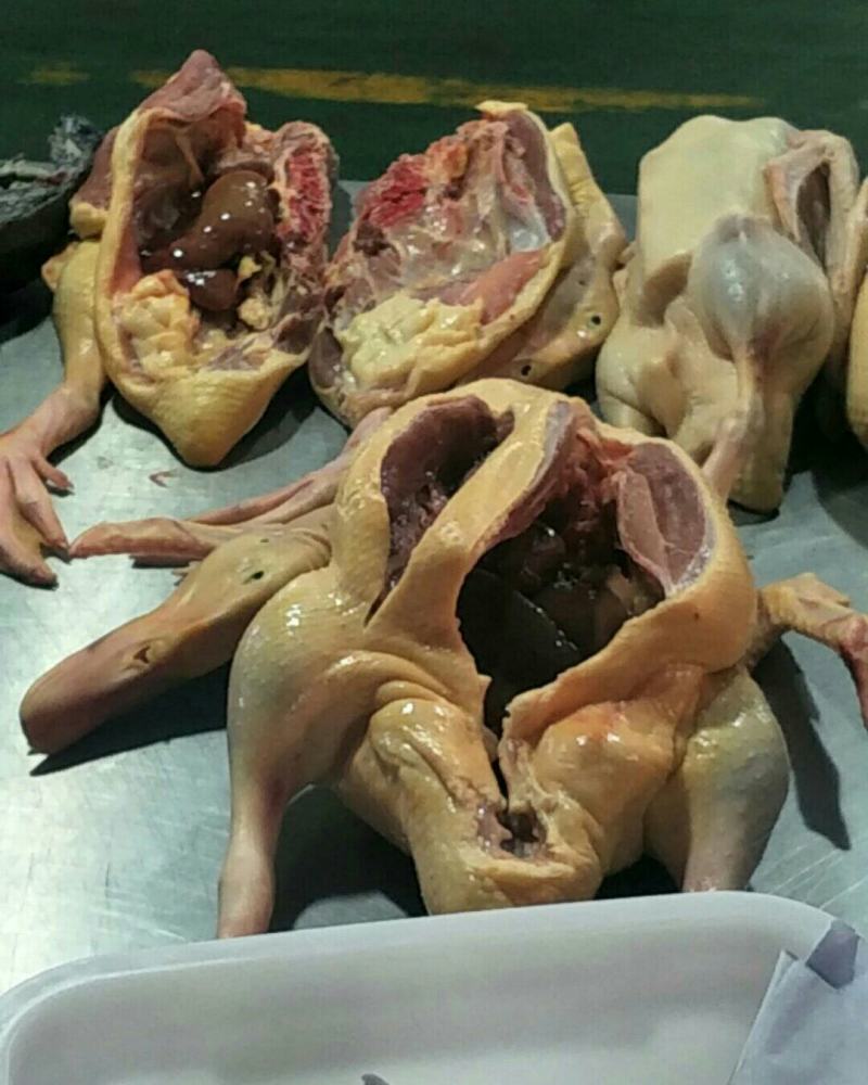 生鲜鸭子，量大可送上门哟！