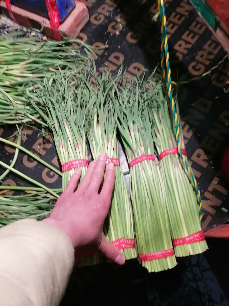 邳州精品蒜苔