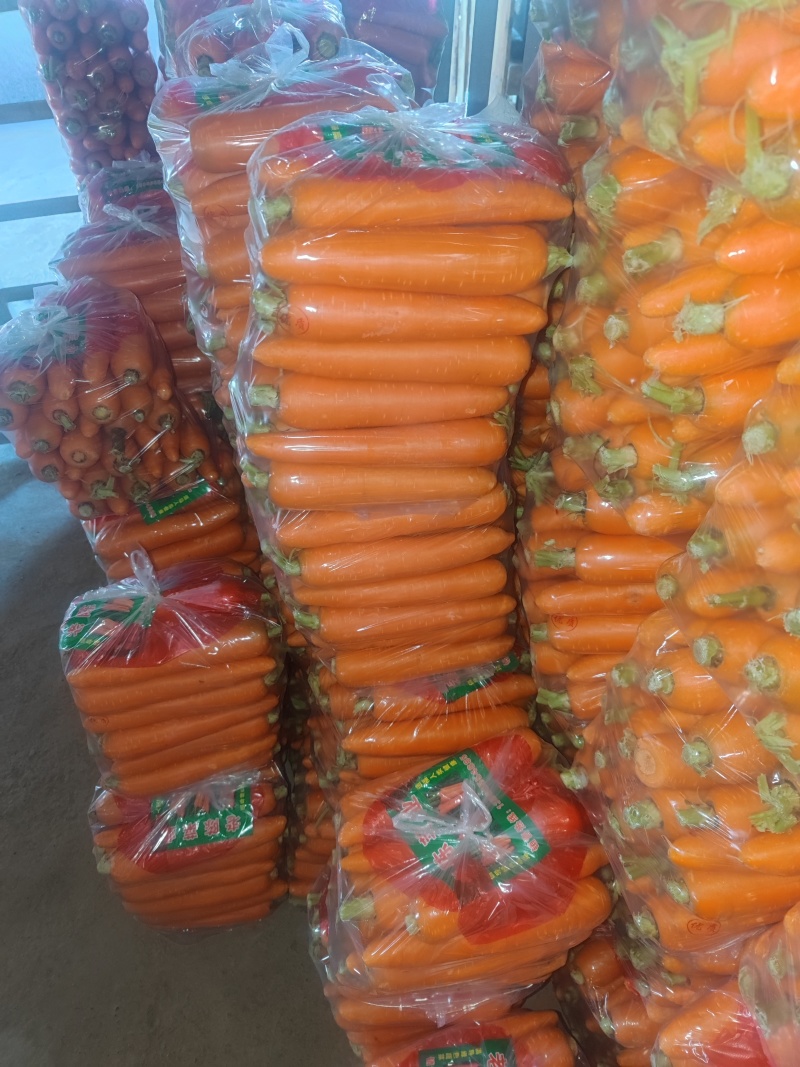 红萝卜开封通许袋装箱装专业打包，大量上市