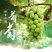 【精品】阳光玫瑰葡萄冷库直发诚信经营货源充足