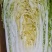 黄心大白菜，黄心白菜大量上市中，欢迎新老客户