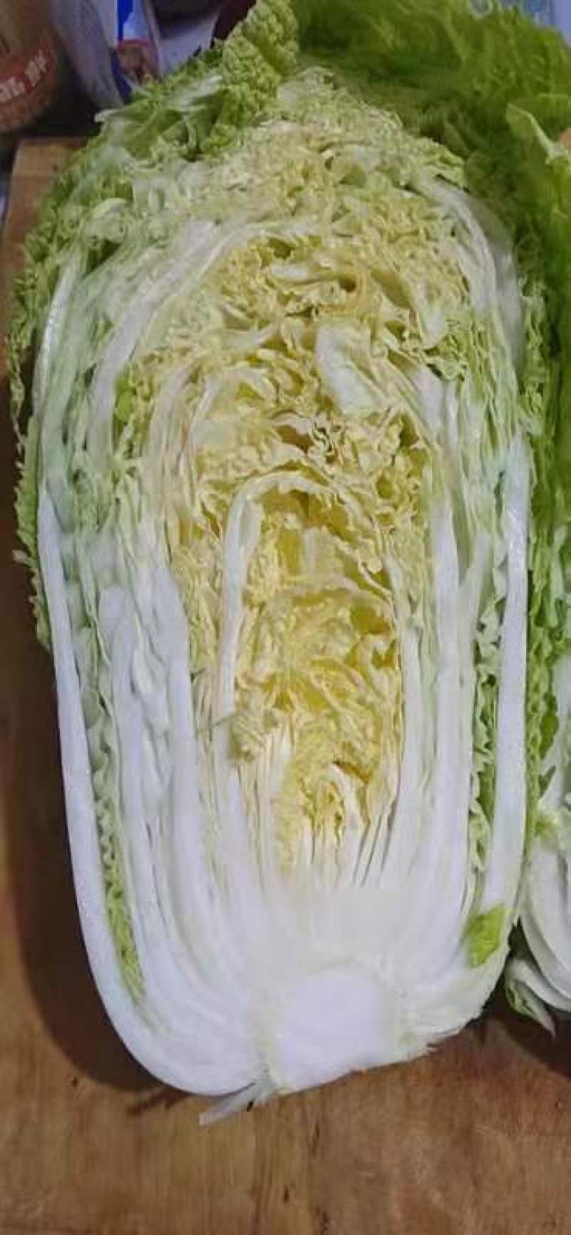 黄心大白菜，黄心白菜大量上市中，欢迎新老客户