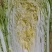 黄心大白菜，黄心白菜大量上市中，欢迎新老客户