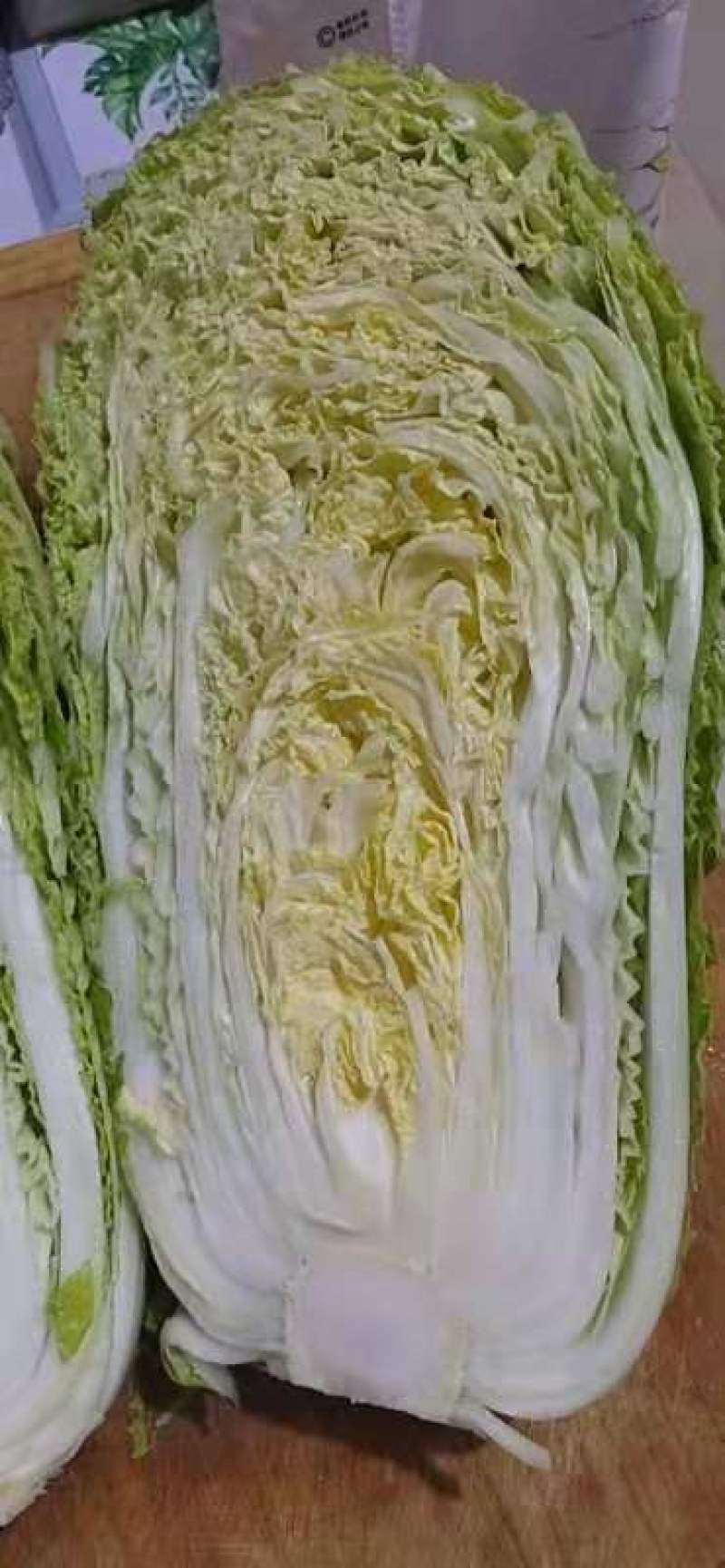 黄心大白菜，黄心白菜大量上市中，欢迎新老客户