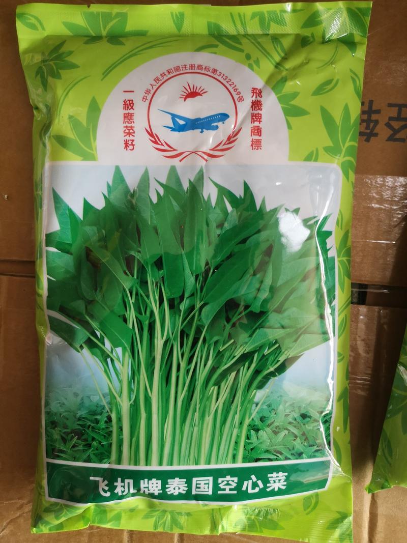 泰国空心菜种子，500克，植株较直立，叶片绿优质高产，