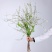 东北雪柳珍珠绣线菊干枝遇水爆雪花