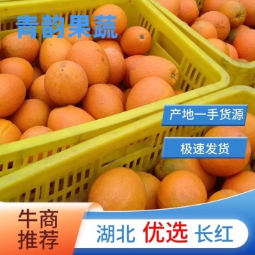 湖北宜昌脐橙长红脐橙各种规格包装都可以提供量大优惠