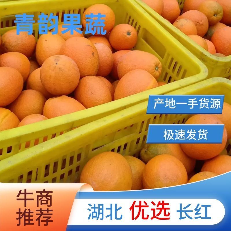 湖北宜昌脐橙长红脐橙各种规格包装都可以提供量大优惠
