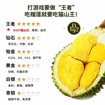 马来西亚猫山王榴莲满房榴莲
