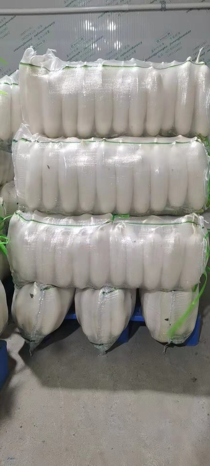 精品白萝卜，三排，四排，五排价格美丽，品质好，货源充足。