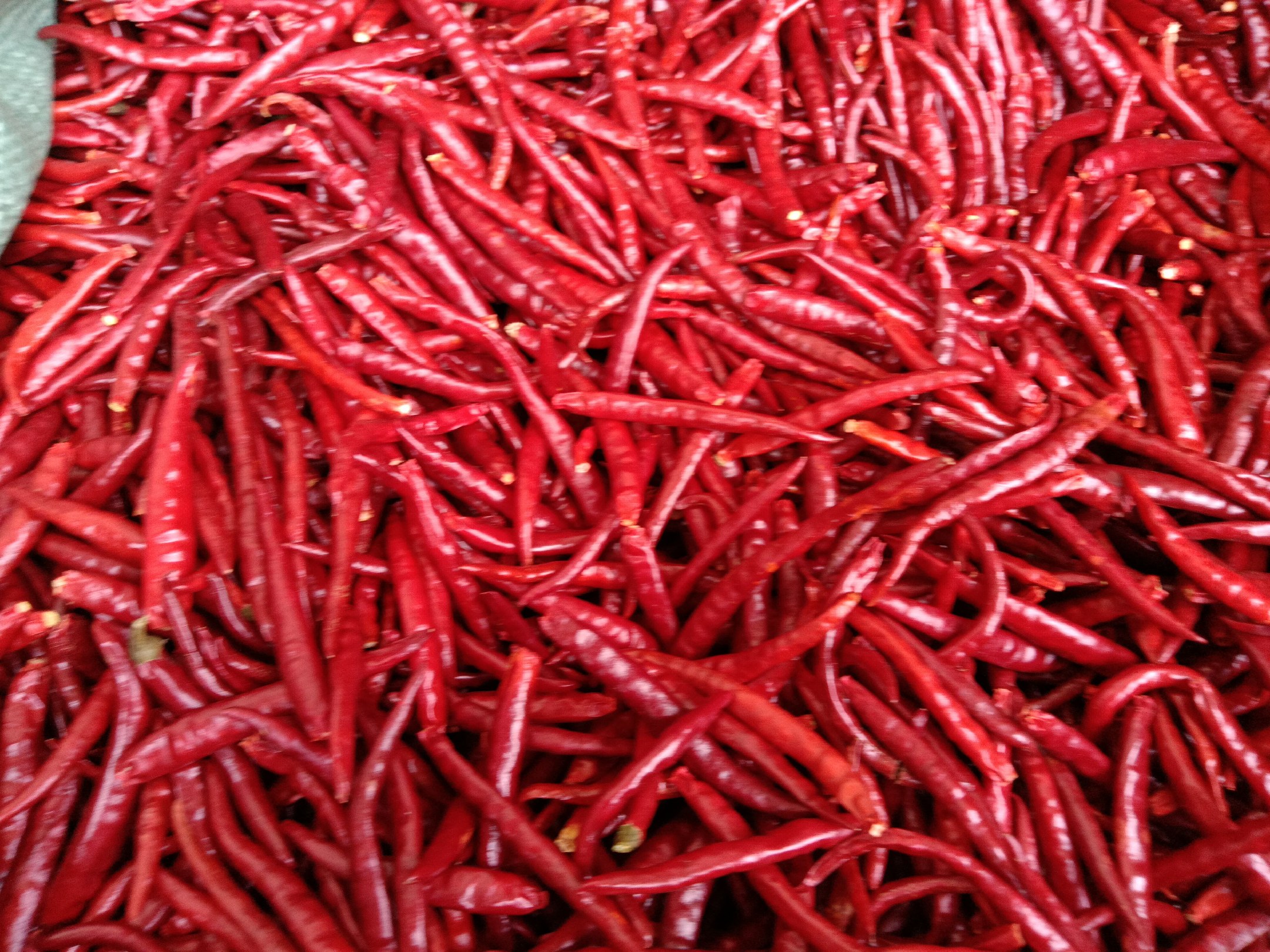 云南红胡椒晾晒场景