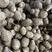 8520毛芋头种大球中球小球货品齐全产地批发