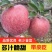 【礼盒装】精品红富士苹果冰糖心苹果自家种植全国发货
