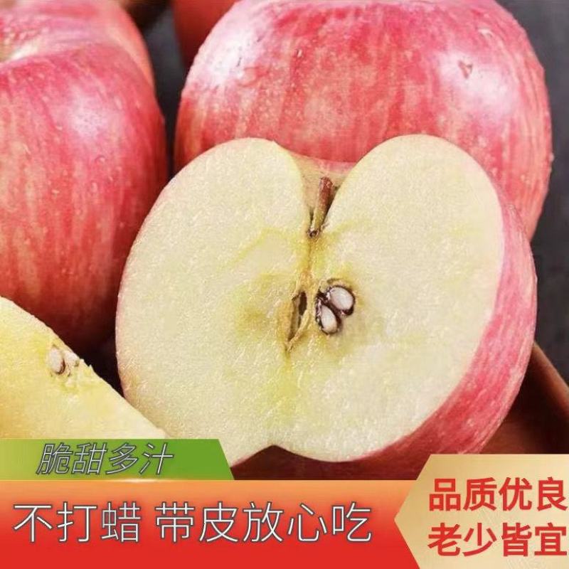 【礼盒装】精品红富士苹果冰糖心苹果自家种植全国发货