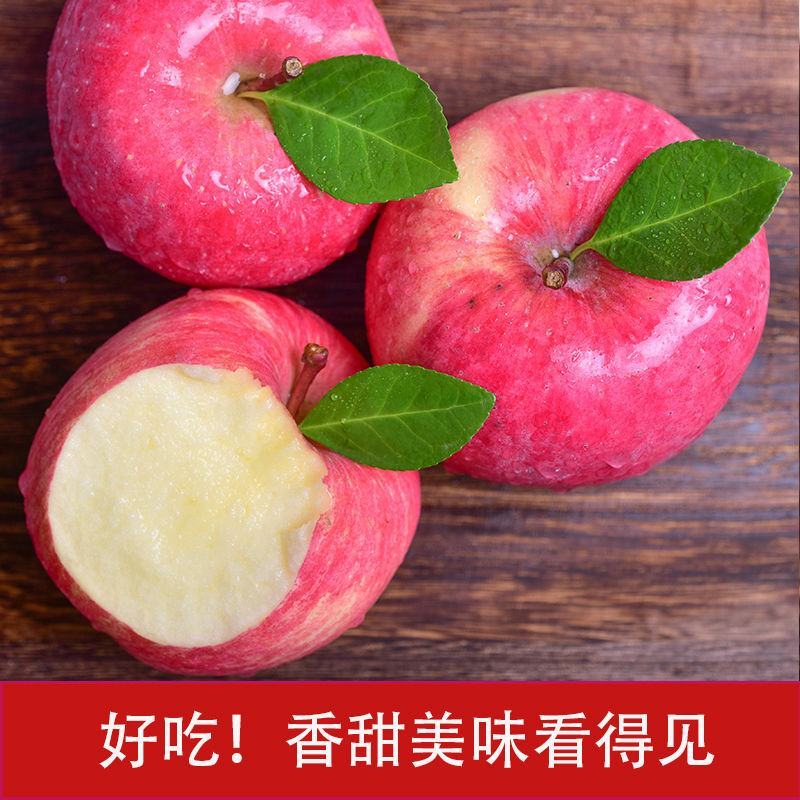 【礼盒装】精品红富士苹果冰糖心苹果自家种植全国发货