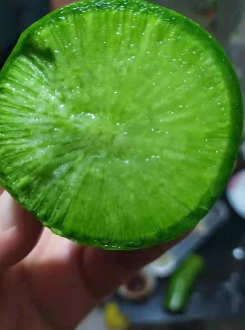 富硒水果萝卜，大量上市决对正宗，细脆甘甜，大量供应。