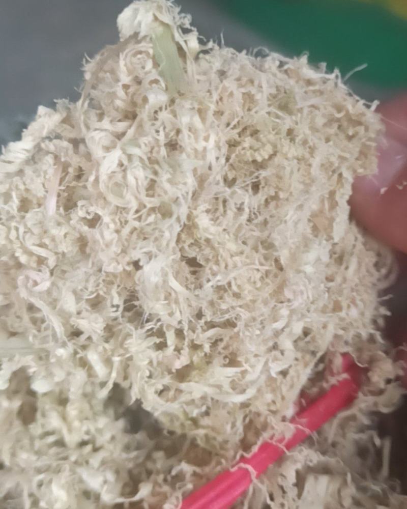 竹茹竹茹球竹茹丝中药材批发竹茹产地直销质量保证