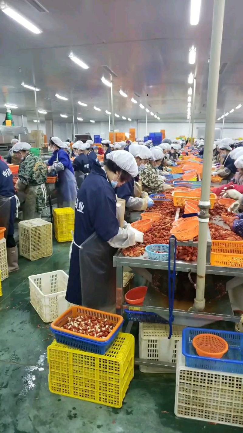【虾尾】液氮速冻无冰衣龙虾尾，臻选鲜活小龙虾，肉质饱满Q弹
