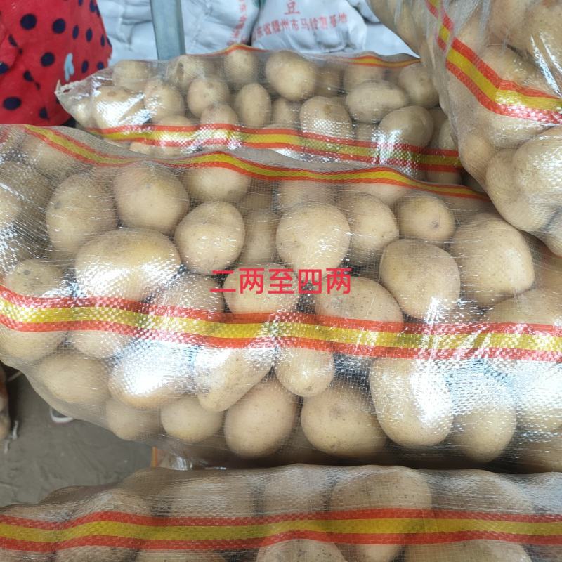 二十克以下迷你小土豆，10克以下珍珠小土豆，适用于椒盐，