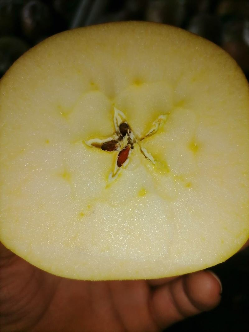 菏泽苹果红富士苹果自家果园生态种植口感脆甜