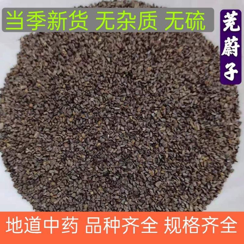 茺蔚子中药材茺蔚子可打粉充蔚子茺卫子茺玉子益母草籽