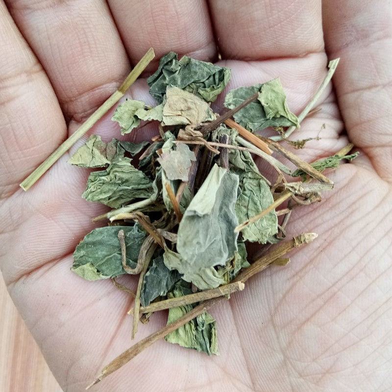肺形草蝴蝶草铁交杯批发零售中药材保证品质