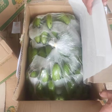 香蕉