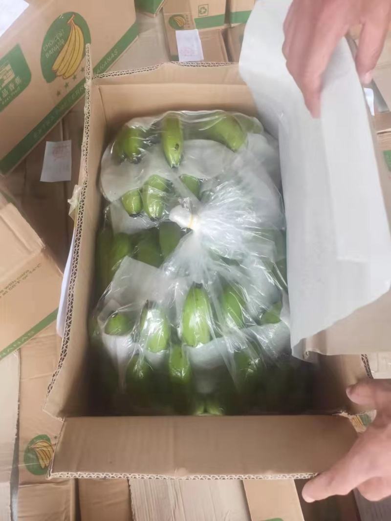 香蕉