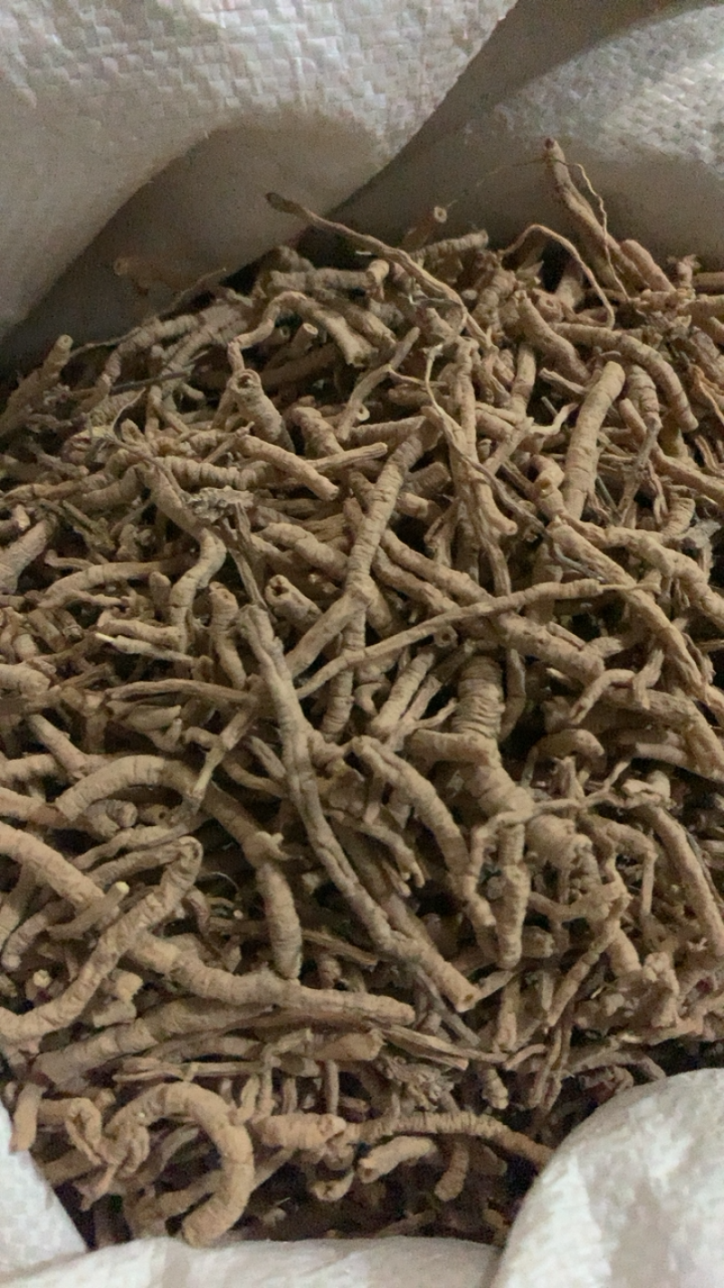 远志远志肉产地山西药典标准地道药材中药批发规格齐全