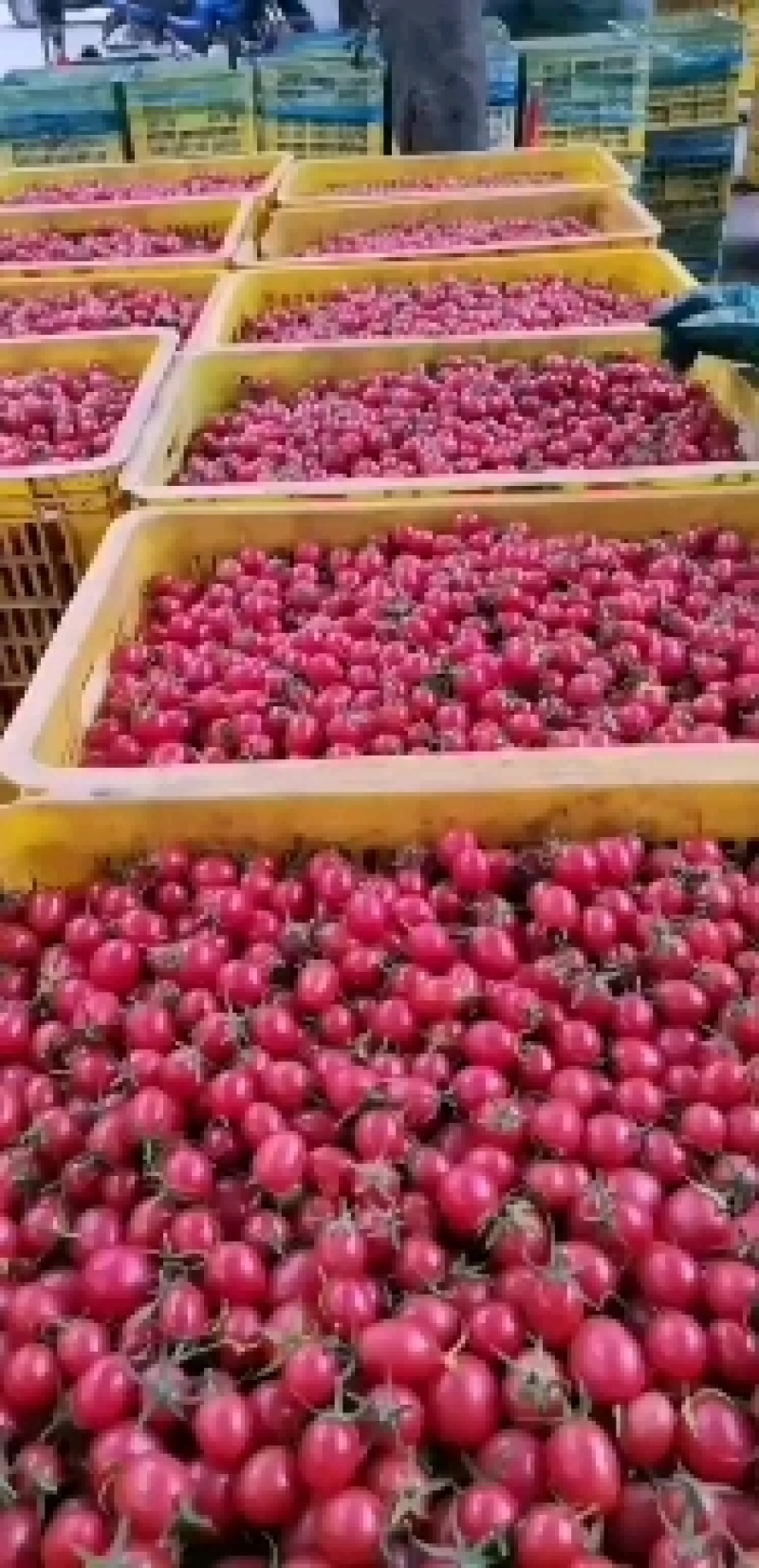 千禧