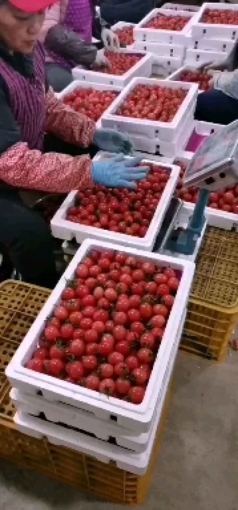 千禧