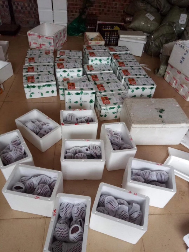 红释迦果玫瑰释迦果产地直发货源充足全国发货