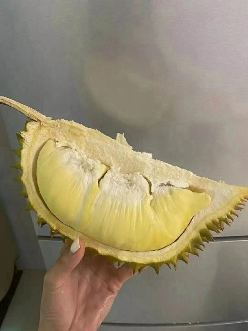 泰国榴莲产地直供批发