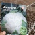 越冬有机花菜苗，产量高，花白，