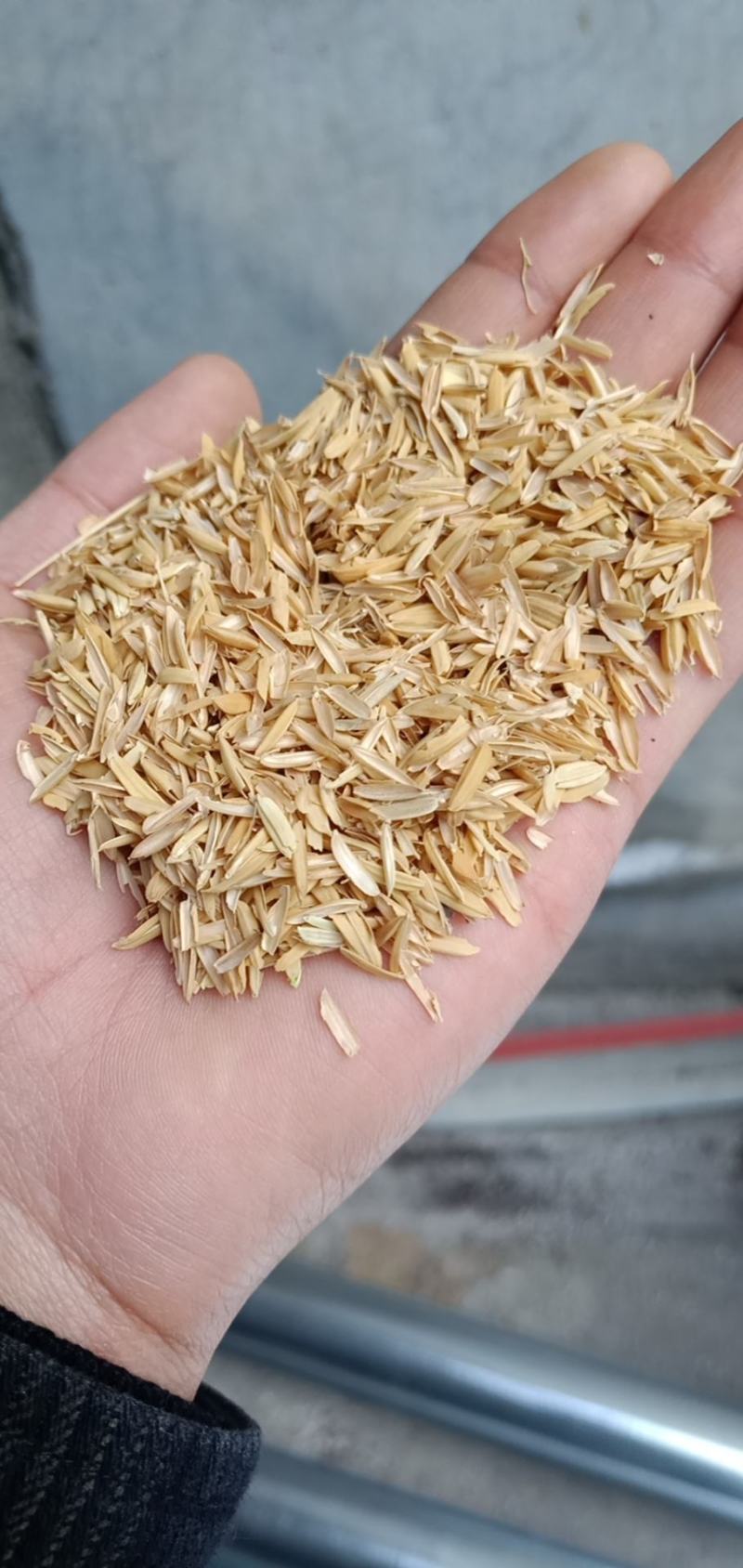 有需求的老板看过来哟，非诚勿扰