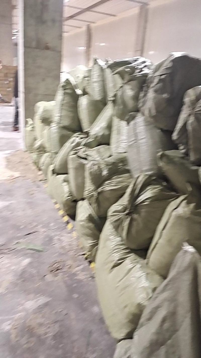 粽子叶现货，随时看货，每一片都由人采摘