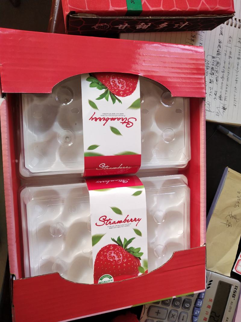 越雪飞，芊雪，梦之莹系列白草莓，草莓中的贵族