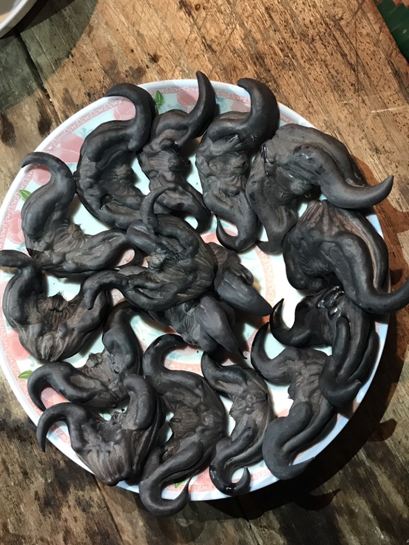 湖南特产黑色老菱角，药食同源粉糯凌角，欢迎联系采购